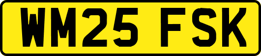WM25FSK