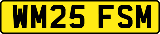WM25FSM
