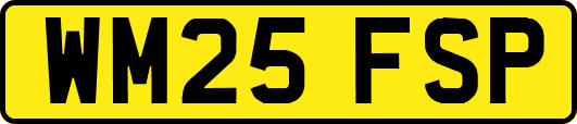 WM25FSP