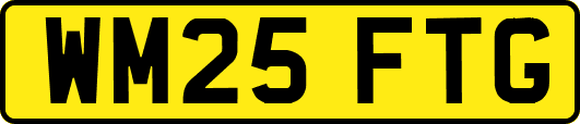 WM25FTG