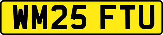WM25FTU