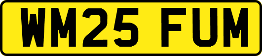 WM25FUM