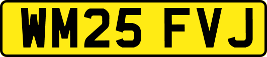WM25FVJ