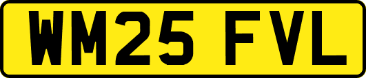 WM25FVL