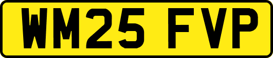 WM25FVP