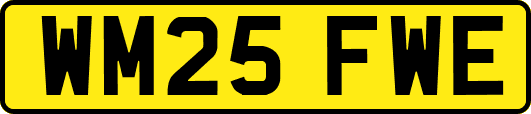 WM25FWE