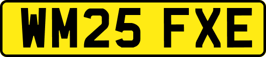 WM25FXE