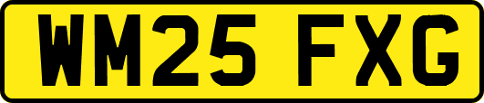 WM25FXG