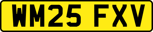 WM25FXV
