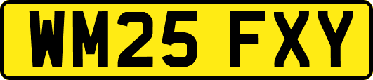 WM25FXY