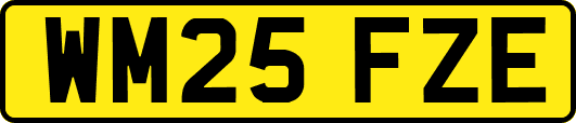 WM25FZE