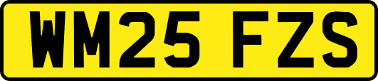 WM25FZS