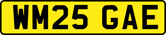 WM25GAE