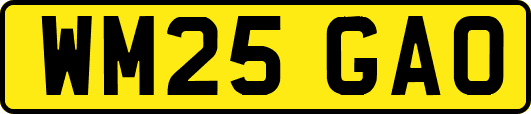 WM25GAO