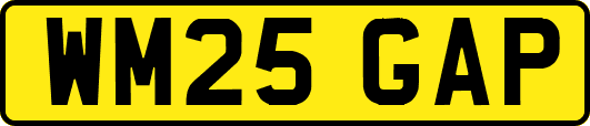 WM25GAP