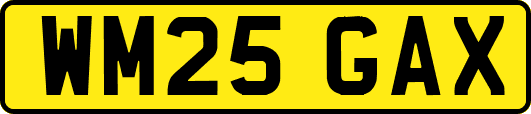 WM25GAX