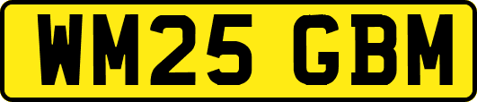 WM25GBM