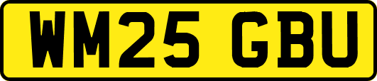 WM25GBU