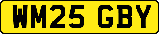WM25GBY