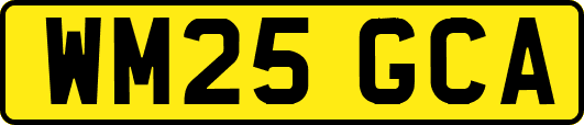 WM25GCA
