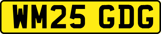 WM25GDG