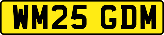 WM25GDM