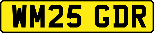 WM25GDR
