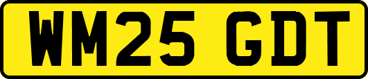WM25GDT