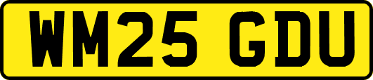 WM25GDU