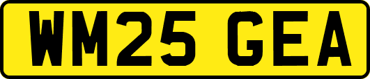 WM25GEA