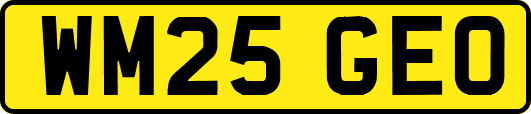 WM25GEO