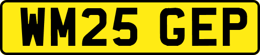 WM25GEP