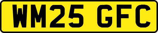 WM25GFC