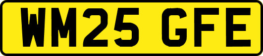 WM25GFE