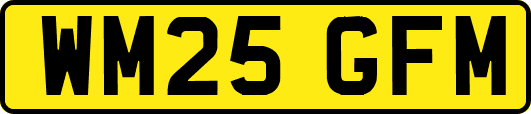 WM25GFM