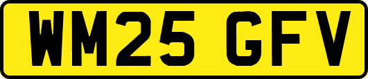 WM25GFV