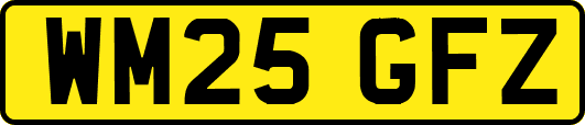 WM25GFZ
