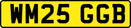 WM25GGB