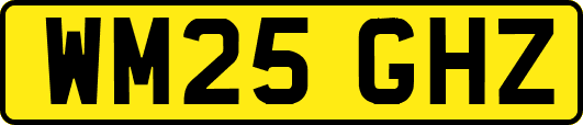 WM25GHZ