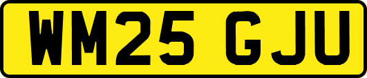 WM25GJU