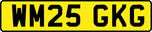 WM25GKG