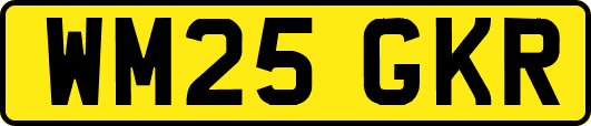 WM25GKR