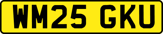 WM25GKU