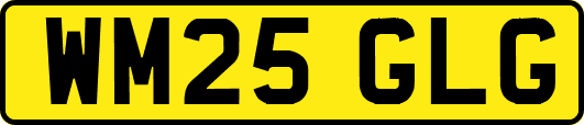 WM25GLG