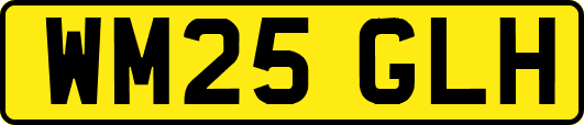 WM25GLH