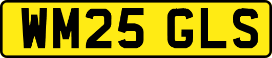 WM25GLS