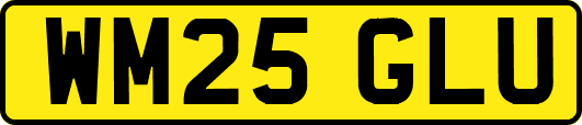 WM25GLU