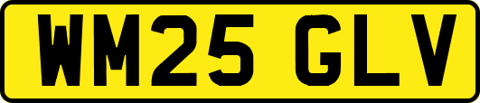WM25GLV