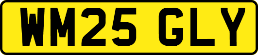 WM25GLY