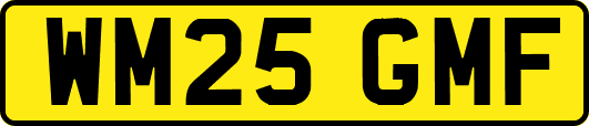 WM25GMF